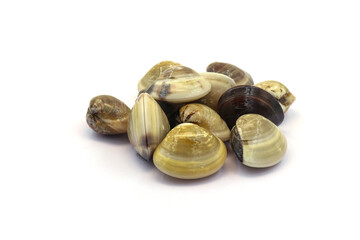 Closed up fresh baby clams. venus shell. shellfish. carpet clams. short necked clams. as raw food from the sea are the seafood ingredients. fresh clams isolated on white background © Pisan