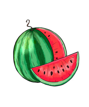 Watermelon and sliced watermelon illustration isolated on white background
