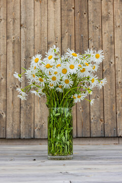 margeritenstrasuss in einer glasvase
