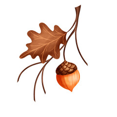 Illustration autumn branches with oak leaves and acorns. Autumn composition hand drawnon isolated background for packaging design label postcards holidays clothes dishes © Evgeniia
