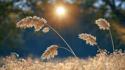 Fototapeta premium Golden wheat stalks glowing in warm sunlight, soft focus background, summer nature, peaceful rural field, tranquil outdoor scene