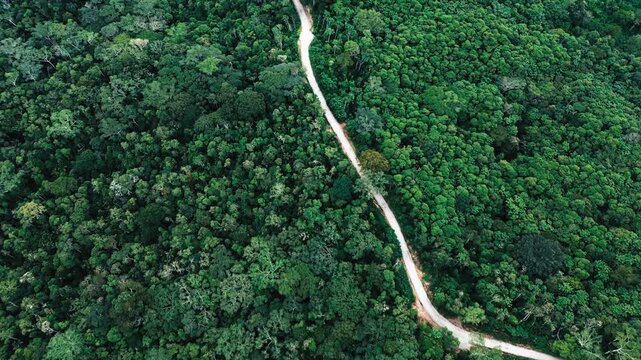 Drone View of Narrow Forest Road Through Tropical Ecuador Rainforest, Dense Green Canopy, Remote Jungle Infrastructure and Amazon Travel Landscape