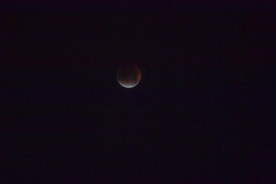 Total Lunar Eclipse - Blood Moon in Night Sky