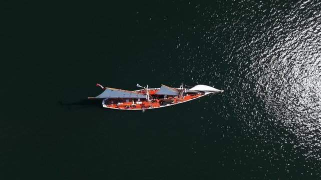 Majestic Bluenose sails gracefully in Halifax Bay, showcasing true maritime beauty