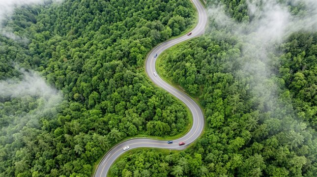 Aerial View of a Winding Asphalt Road Meandering Through a Dense, Lush Green Forest Partially Covered by Morning Mist and Clouds