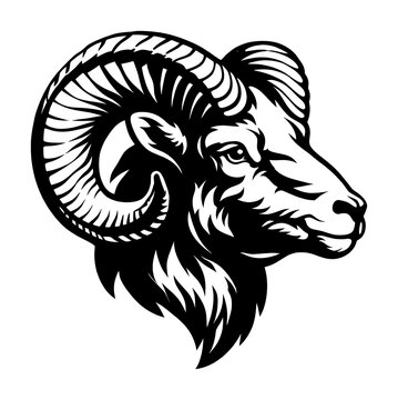 PNG Bold ram head illustration