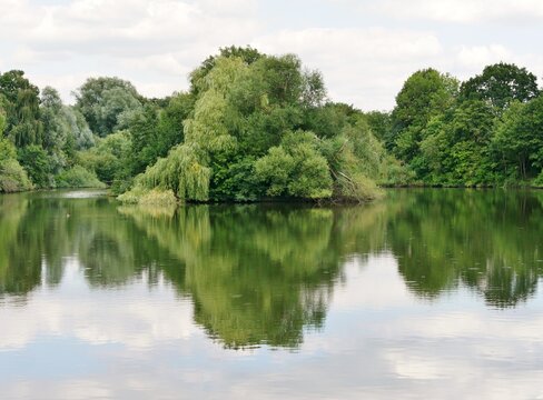 Appelweiher in Steilshoop