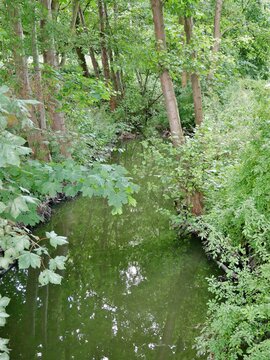 Seebek in Steilshoop