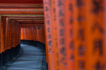 Fototapeta premium Red Torii of Fushimi Inari Shrine, Kyoto, Japan