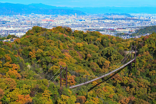 Panoramic view of Hoshi no Buranko suspension bridge surrounded by autumn foliage at Hoshida Enchi Park in Katano, Osaka.