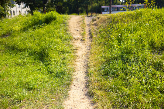 A narrow dirt path cuts through a grassy slope under bright sunlight. The worn trail and surrounding greenery evoke a sense of calm, everyday movement, and natural simplicity.