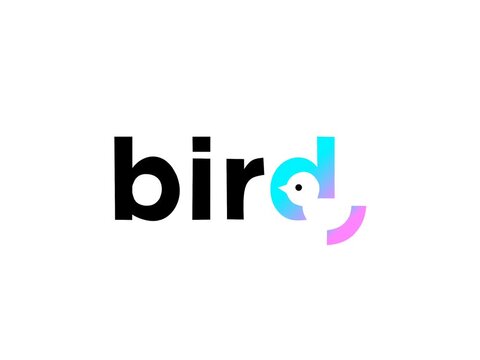 Text animation of the word &ldquo;bird&rdquo; featuring modern typography and gradient-colored graphic elements resembling a bird.