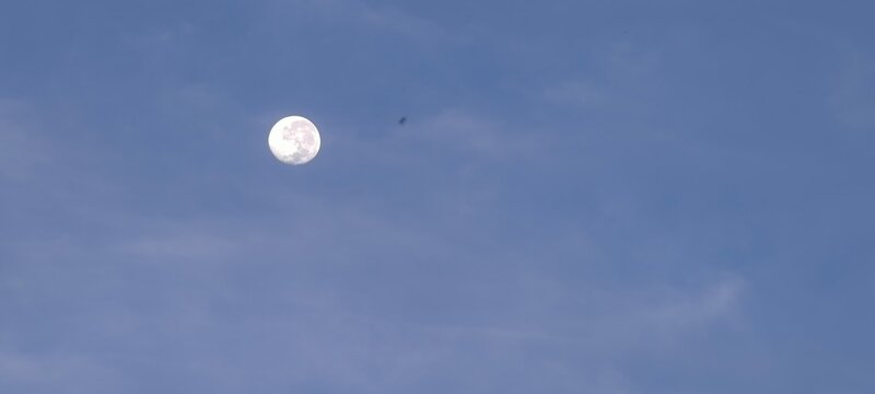 A bright, nearly full moon shines in a clear daytime sky with faint wispy clouds drifting across the background. 