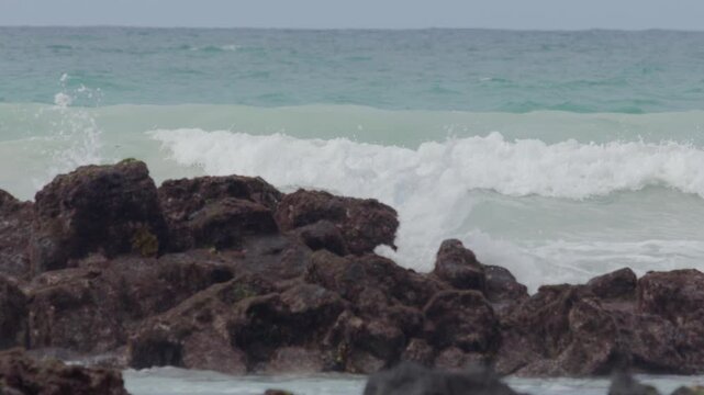 Telephoto shot of Slow motion waves hitting rocks in tortuga bay beach Galapagos
