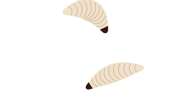 Vector Illustration of White Maggot Larvae on a Plain White Background for Biological and Pest Control Concepts