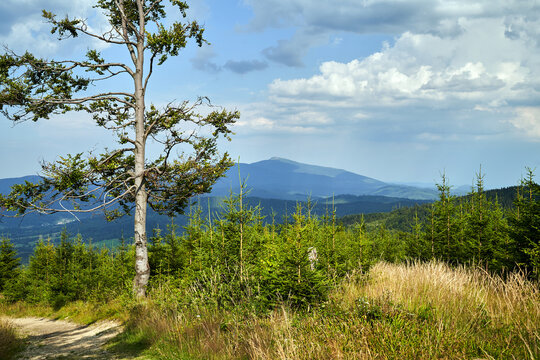 View from the hiking trail of the valleys and Babia Gora in the Beskid Mountains