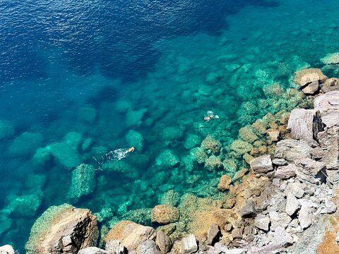 coral reef and sea, Skiathos, greece