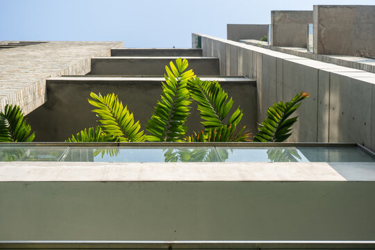 Modern Concrete Architecture with Green Tropical Plants, Reflective Water Feature, and Clean Geometric Lines