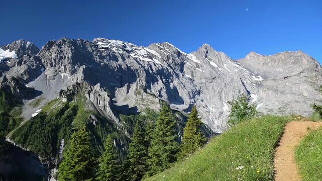 Dramatic snow-covered mountain cliffs, green alpine slopes and conifer forest beneath a clear blue sky near Schilthorn.