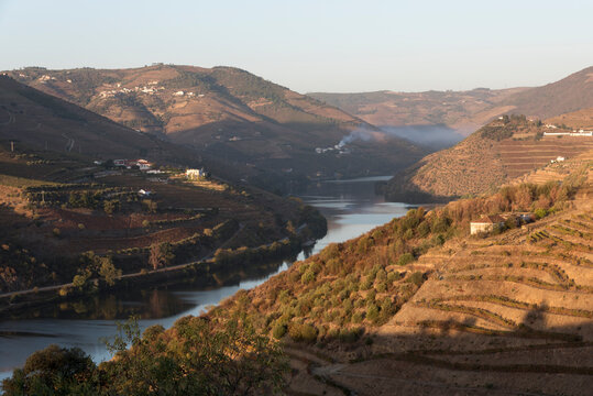 Douro River Winding Through Terraced Vineyards at Golden Hour, Portugal