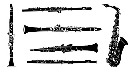 Collection of black and white woodwind musical instruments with illustrations various woodwind saxophone clarinet bassoon flute oboe © Smriti