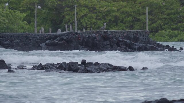 Telephoto shot of Slow motion waves hitting rocks in tortuga bay beach Galapagos