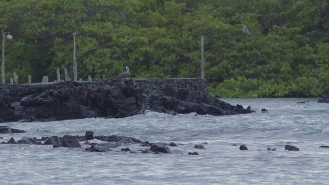 Telephoto shot of Slow motion waves hitting rocks in tortuga bay beach Galapagos