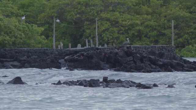 Telephoto shot of Slow motion waves hitting rocks in tortuga bay beach Galapagos