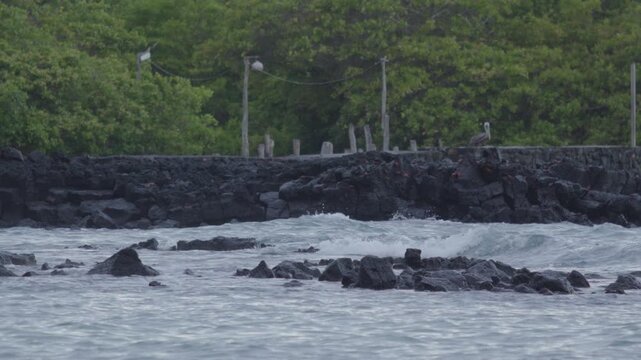 Telephoto shot of Slow motion waves hitting rocks in tortuga bay beach Galapagos