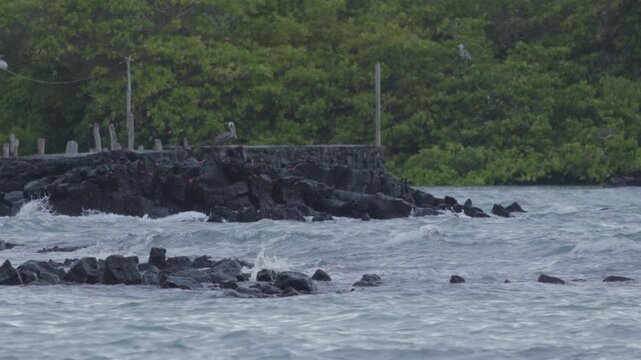 Telephoto shot of Slow motion waves hitting rocks in tortuga bay beach Galapagos