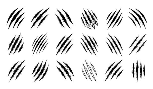 Set of black claw marks and scratch silhouettes isolated on a white background for design projects