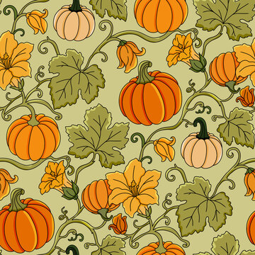 Autumn pumpkin vine seamless pattern with harvest squash yellow flowers green leaves botanical foliage hand drawn vintage fall garden background