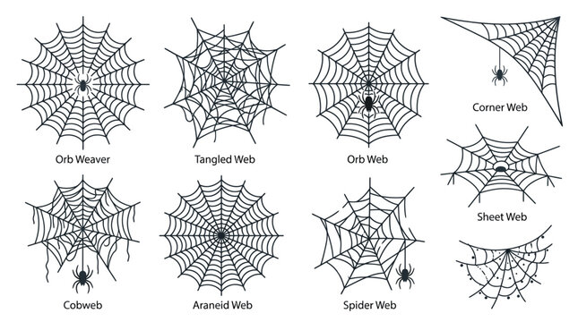 Spider web collection with 8 black vector icons, orb weaver and tangled cobweb set, halloween arachnid web illustrations