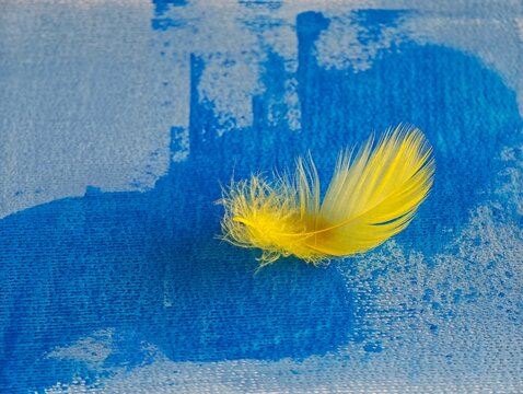 Close-up of delicate yellow feather resting on blue painted canvas with visible brush strokes and texture, creating vivid complementary color contrast and artistic background with copy space.
