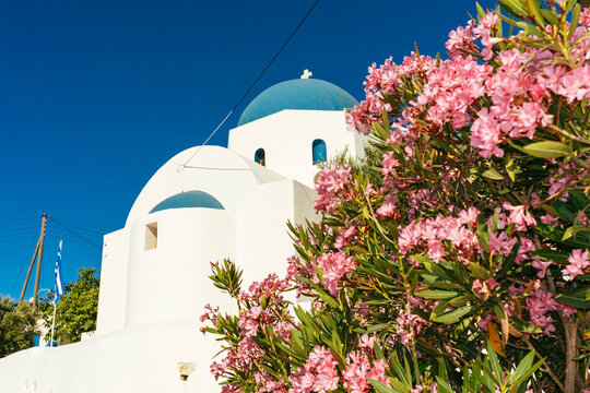 Blue Domed Church with Oleanders