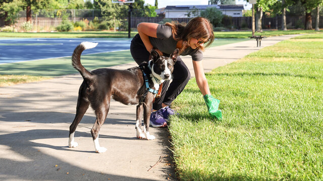 Woman Training Dog