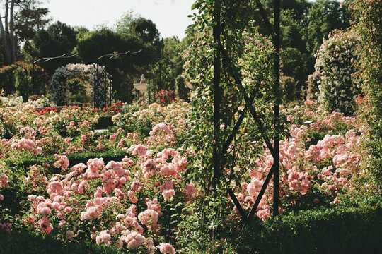 Beautiful flower garden in film