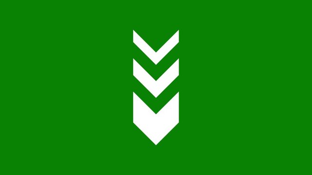 White animated chevron arrows pointing downward in sequential motion as scroll down indicator on green background
