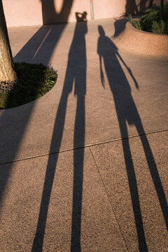 Father & Son Long Shadows