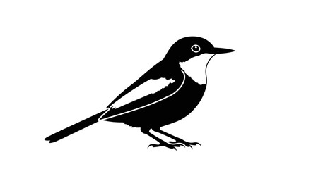 Fototapeta premium Black and White Silhouette of a Small Bird Standing on White Background