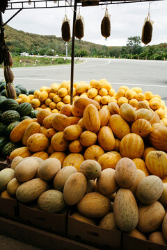 Vibrant Display of Fresh Melons at a Roadside Market