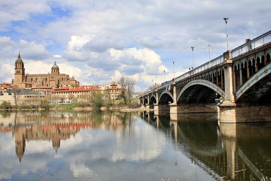 Panoramic view of the New Cathedral of Salamanca from the bank of the Tormes River.