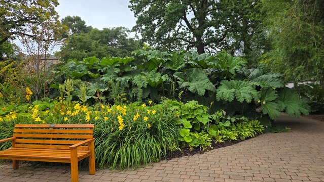 bench in the park