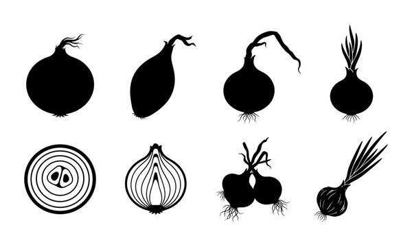 Set of black silhouettes of onions and shallots on white background