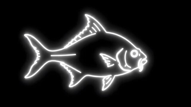 White Neon Line Art Hatchetfish with Fin Movement on Black Background