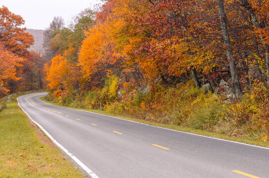 Autumn foliage in Shenandoah National Park, Virginia - United States
