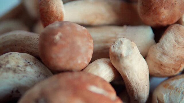 Fresh porcini mushrooms rotating in a close-up view with a smooth focus transition perfect for culinary presentations