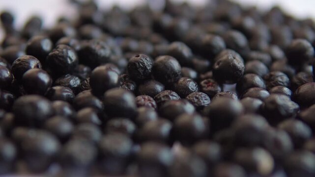 Dried aronia berries falling on a white background in extreme macro slow motion. Healthy chokeberry superfood ingredients