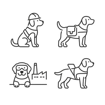 Set of service and working dog linear icons featuring rescue, guide, and industrial safety canine assistants