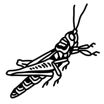 Dark edgy grasshopper line art illustration